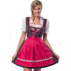 Boeren Tirol & Oktoberfest Kostuum | Hilda Hefe Bierfeest Dirndl Bruin | Vrouw | Maat 42 | Bierfeest | Verkleedkleding